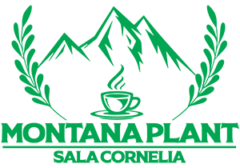Montana Plant